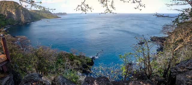 Trekking nella baia di Golfinhos