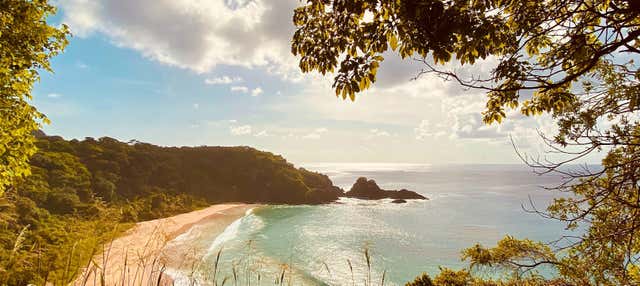 Tour privato di Fernando de Noronha