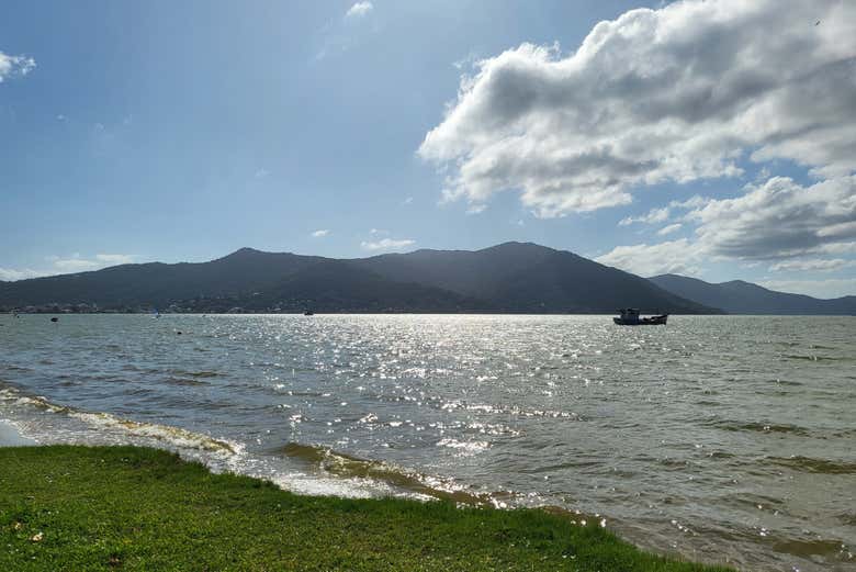 Imagen 6