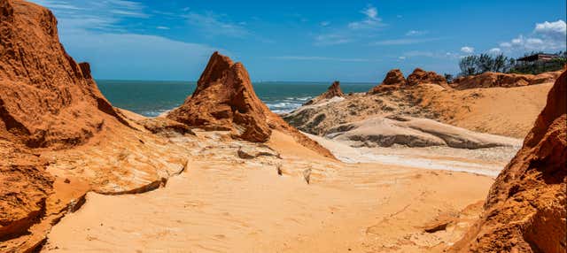 Excursão à praia de Canoa Quebrada + Tour de buggy