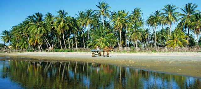 Escursione alle spiagge di Mundaú e Flecheiras + Giro in catamarano