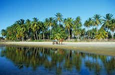 Mundaú & Flecheiras Day Trip + Catamaran Ride