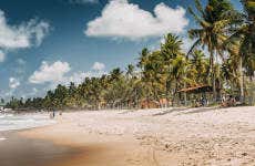 Private Trip from Fortaleza