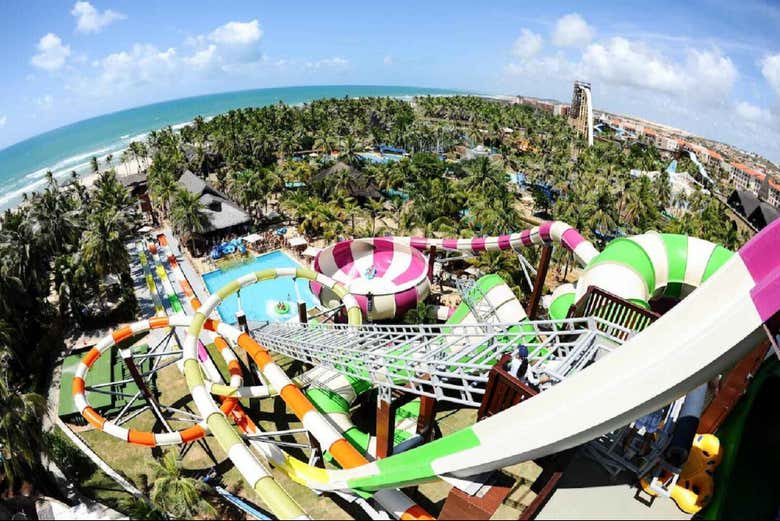 Imagen 5