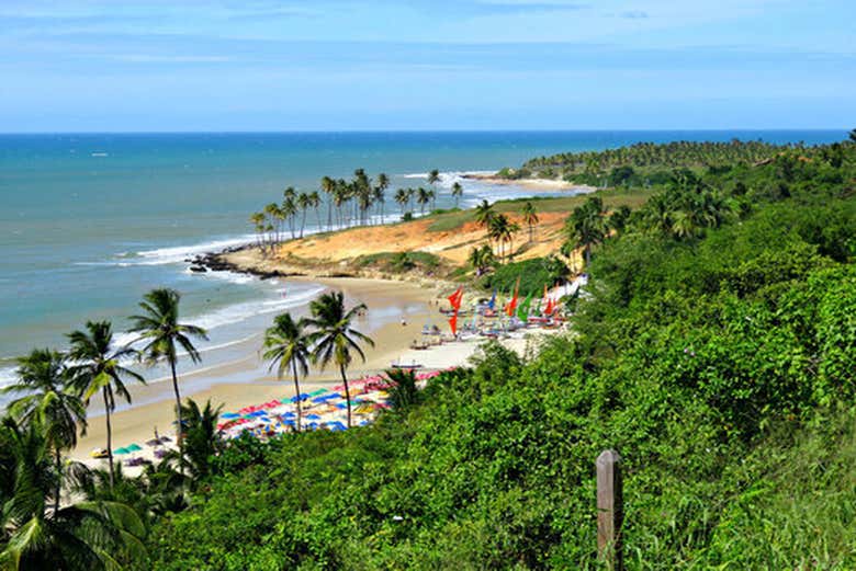 Imagen 5