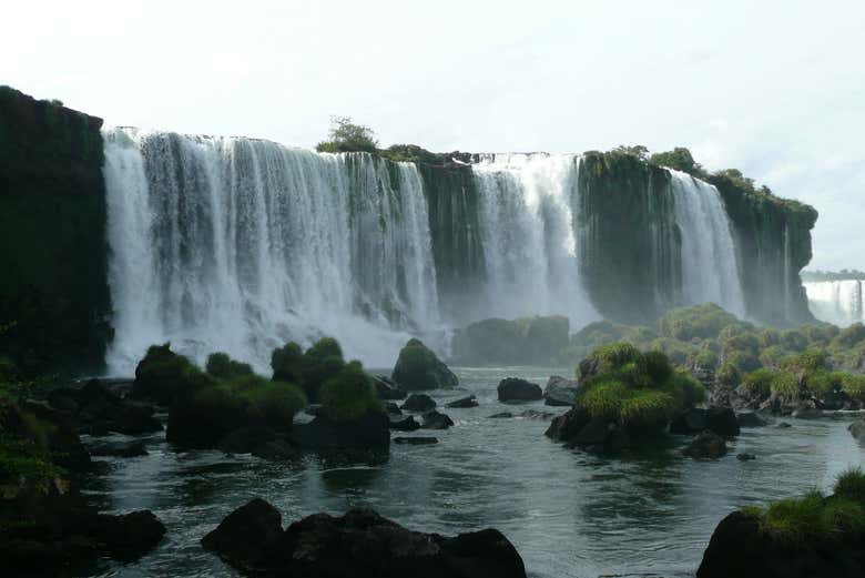 Imagen 8