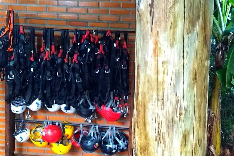 Imagen 6
