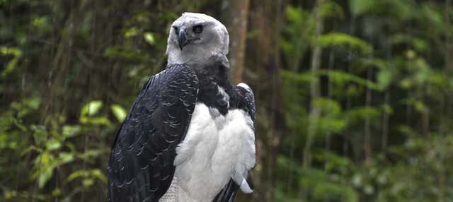 Trekking al Rifugio Biologico di Itaipu