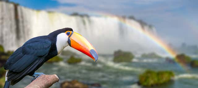 Tour di avventura a Macuco Safari