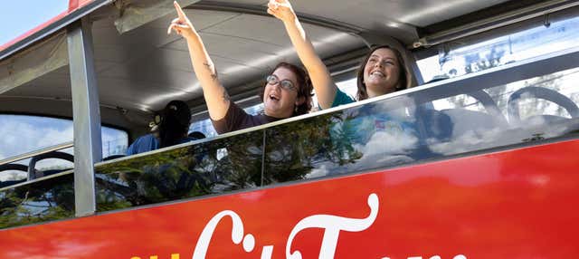 Tour panoramico di Foz do Iguaçu