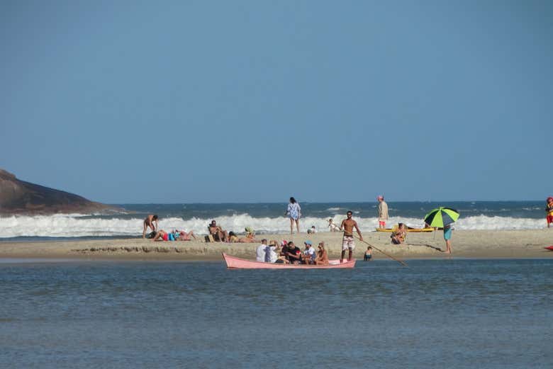 Imagen 5