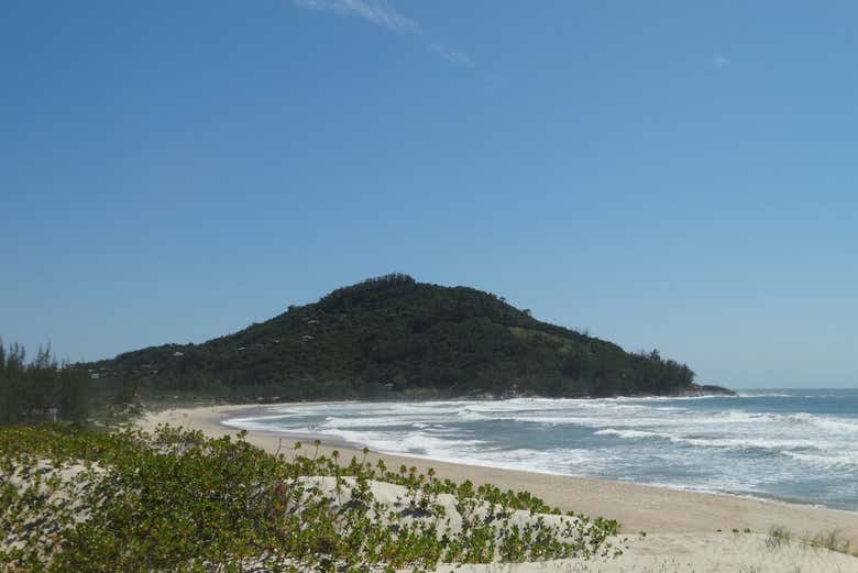 Imagen 6