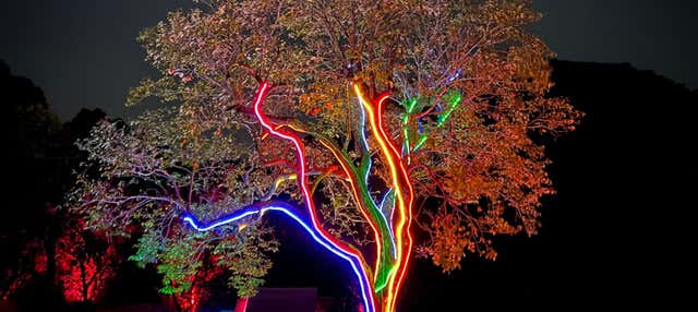 Biglietti per Lumni Experience