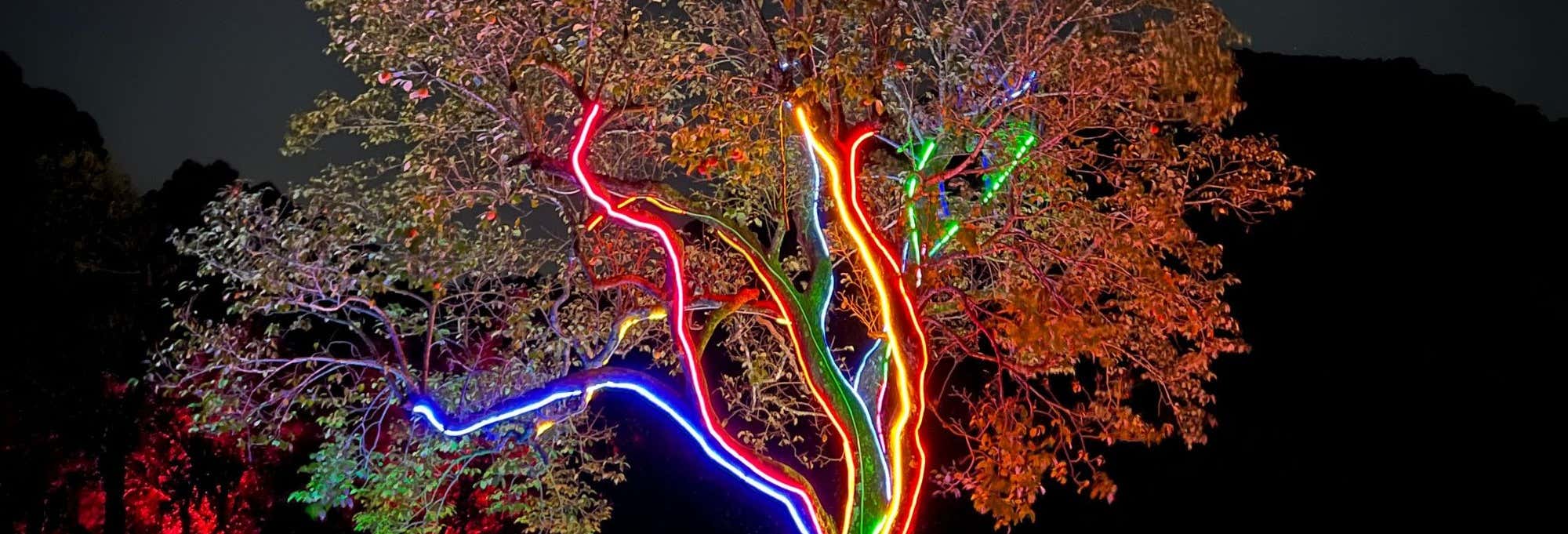 Biglietti per Lumni Experience