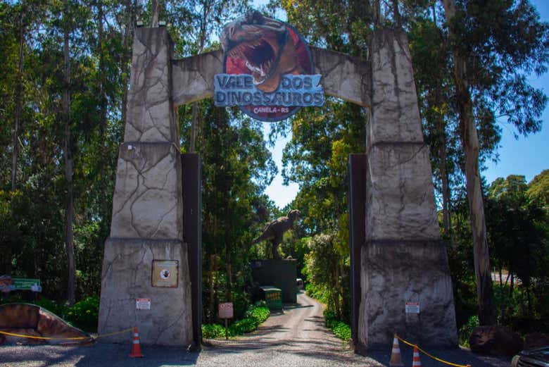 Imagen 8