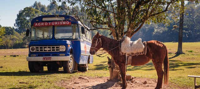 Tour di Linha Ávila in jardineira