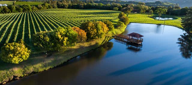 Tour privado del vino por la Sierra Gaucha