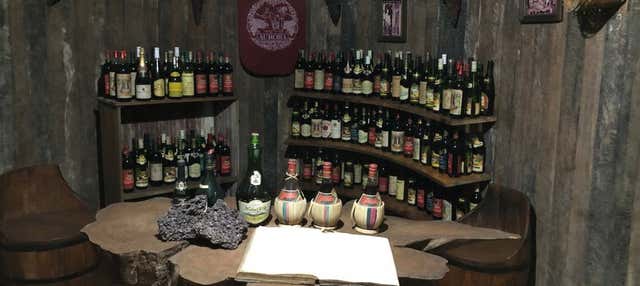 Tour del vino nella Sierra Gaucha + Visita del caseificio Fetina de Formaio