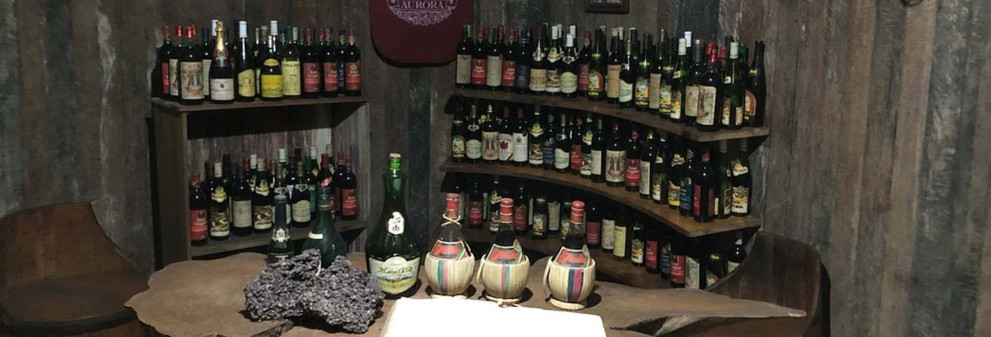 Tour del vino nella Sierra Gaucha + Visita del caseificio Fetina de Formaio