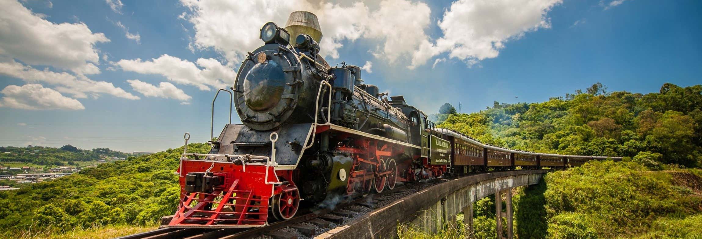 Treno Maria Fumaça + Visita alla cantina Vinícola Aurora