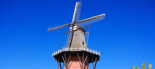 Tour di Holambra in bici