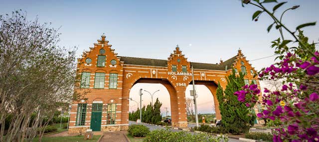 Tour di Holambra al completo con biglietti