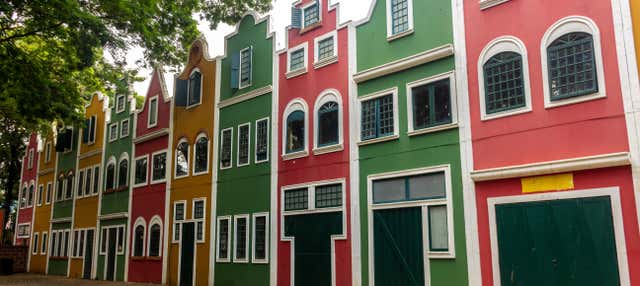 Tour panoramico di Holambra