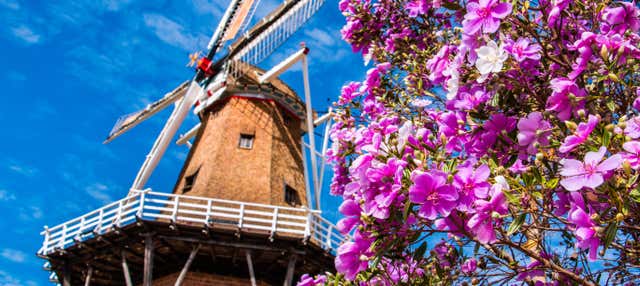 Tour privato di Holambra