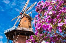 Holambra Private Tour