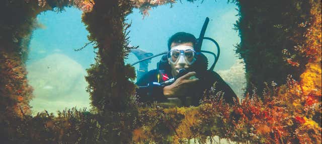 Immersione ai relitti di Ilhabela