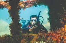 Diving at Ilhabela Shipwrecks