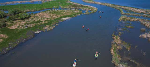 Tour delle paludi di Imbé in kayak