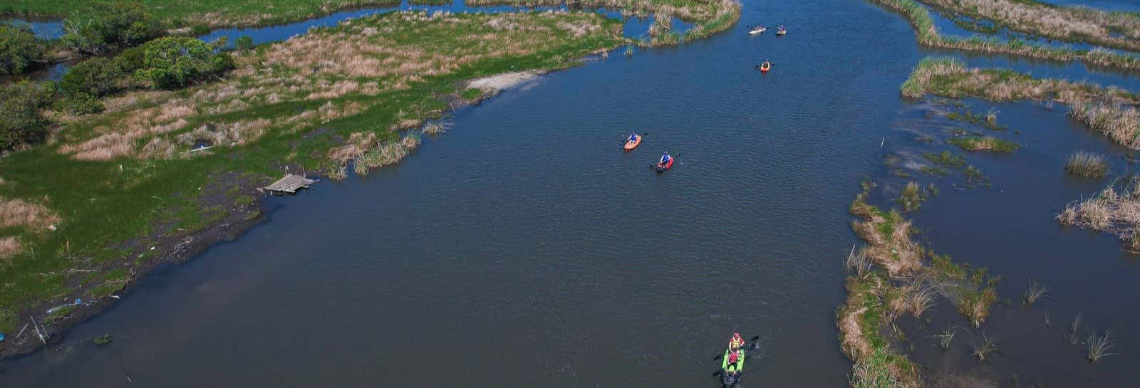 Imbé Wetlands Kayaking Tour