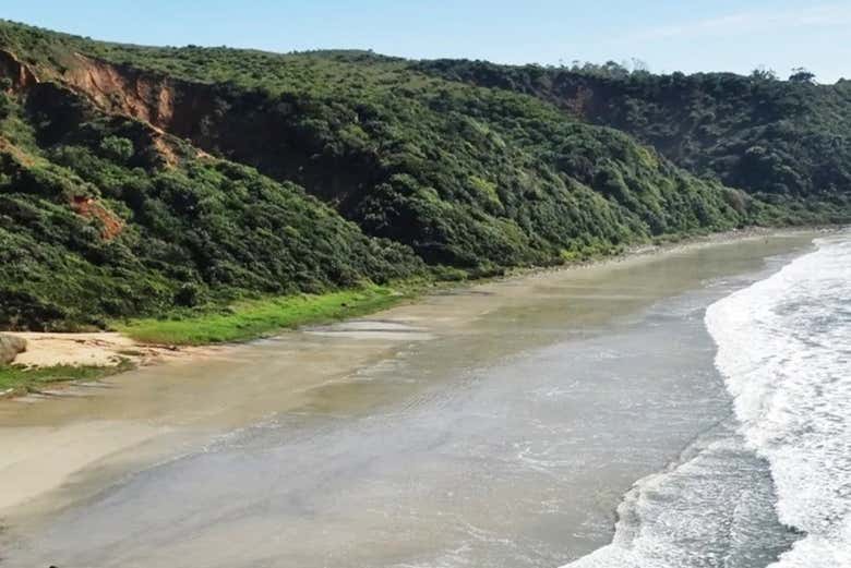 Imagen 6