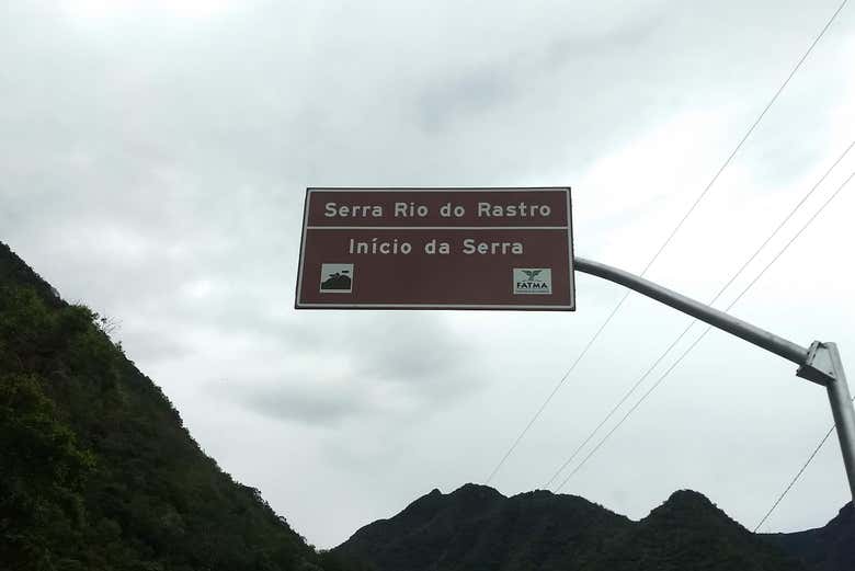 Imagen 8