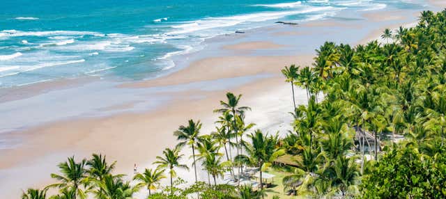 Spiagge di Itacarezinho, Camboinha, Havaizinho ed Engenhoca + Cascata di Tijuípe
