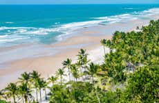 Itacaré Beaches + Tijuípe Waterfall Hike