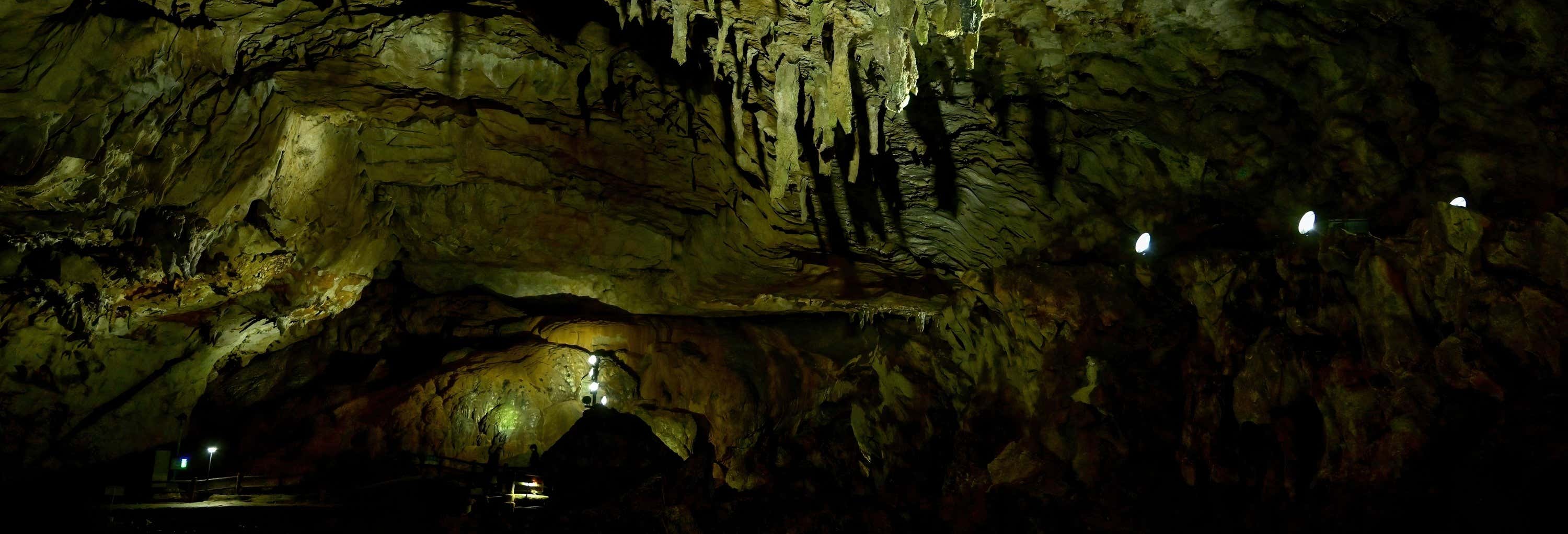 Grutas de Botuverá Day Tour