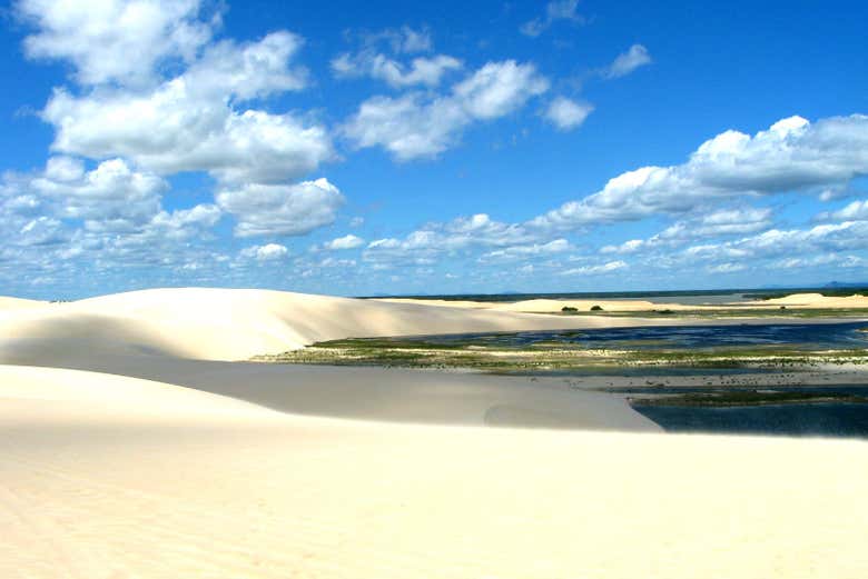 Imagen 4