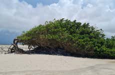 Jericoacoara East Coast Off-Roading Tour: Paradise & Blue Lagoon