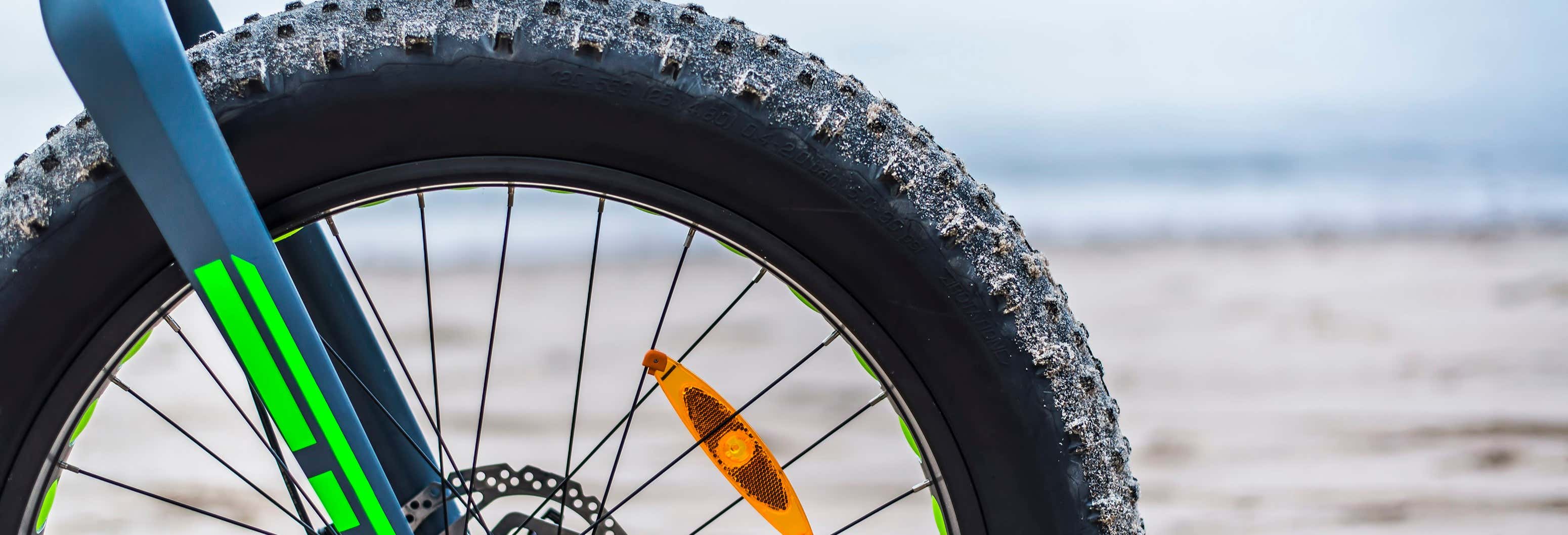 Tour en fat bike por Pedra Furada