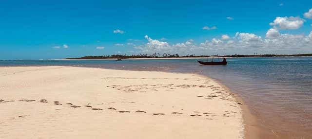 Escursione a Barra de Mamanguape