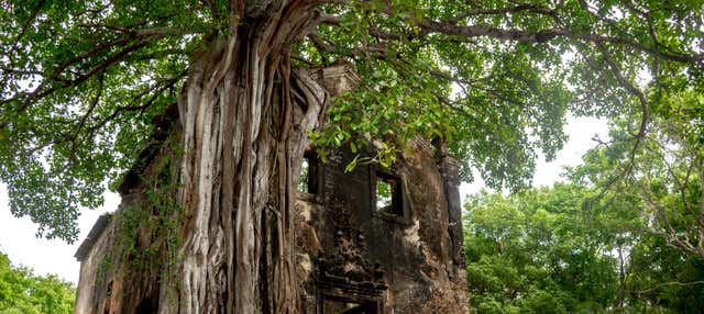 Escursione a Lucena e le scogliere di Bonsucesso