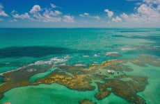 Excursão às piscinas naturais da Ponta do Seixas