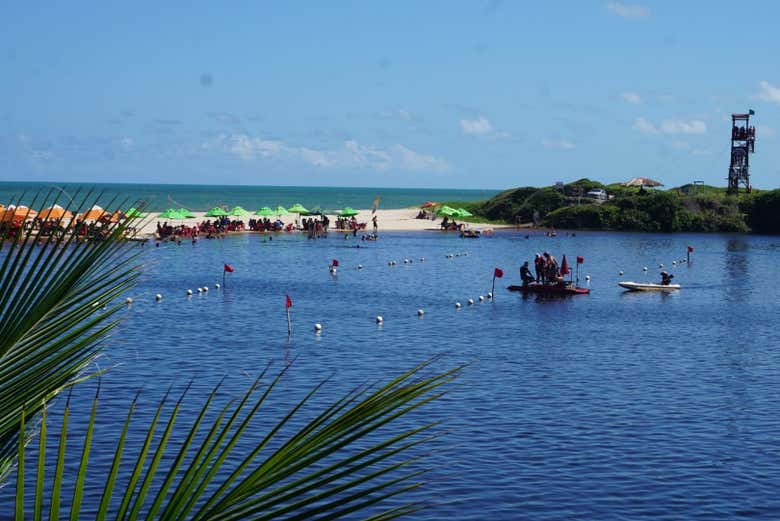 Imagen 7