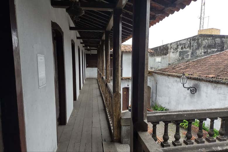 Imagen 8