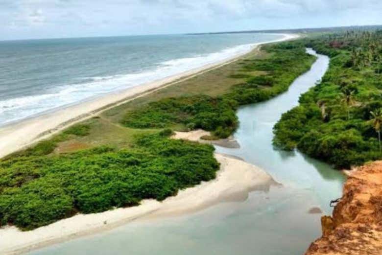 Imagen 6