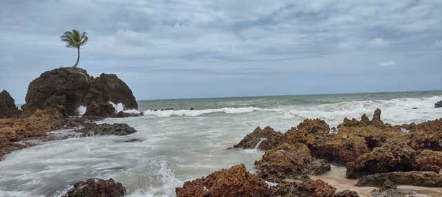Tour della costa meridionale del Paraíba in buggy