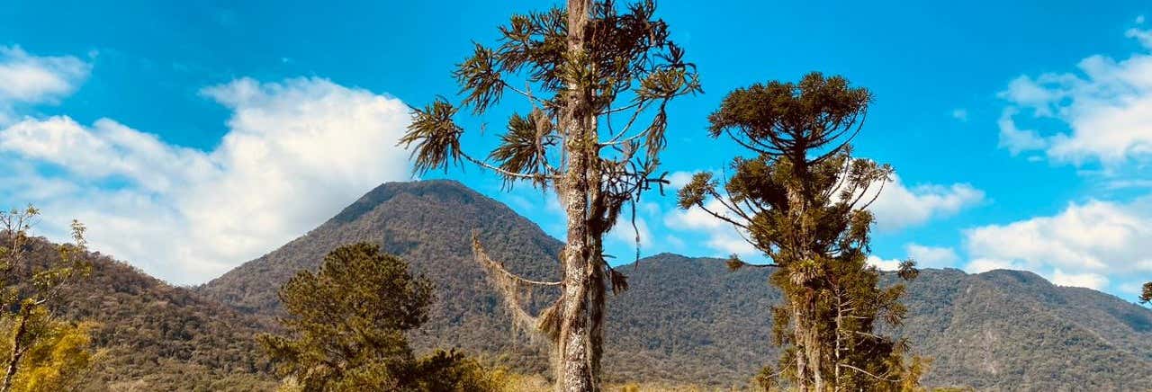 Hiking Tour around Serra Dona Fracisca and Canela Preta Waterfall