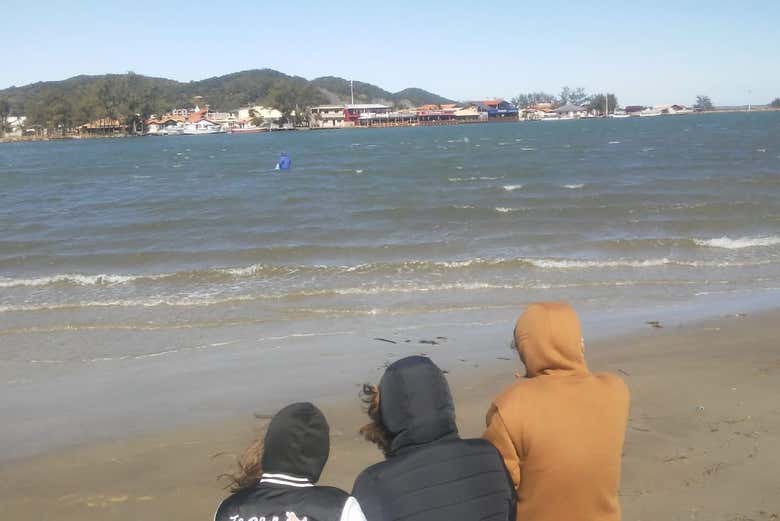 Imagen 7